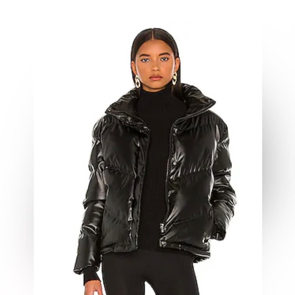 Bb Dakota Steve Madden downtown jacket